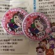 アビシニアンの画像