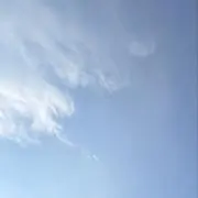 hikariの画像