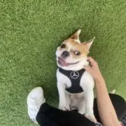 ムギ