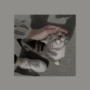 キナ子の画像