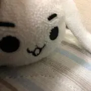 すぎさん