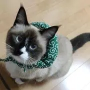 みゆっきーの画像