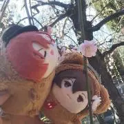 ぱんだの画像