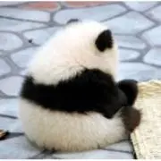 ワタワタ☆