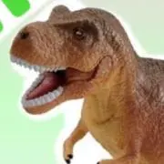 t.sの画像