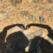 よっすぃーの画像