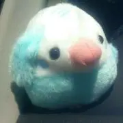 けむけむ