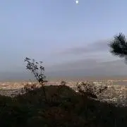 mamaの画像