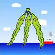 ひよこ