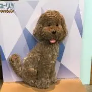 引越しにつき断捨離中！凛