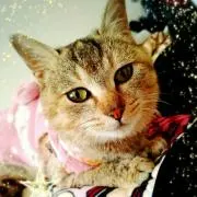 如月すずら♡プロフ必読
