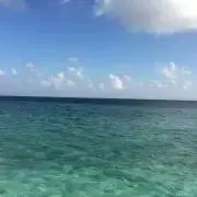 ☆みかん☆