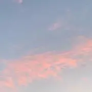 まことの画像