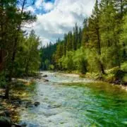 Riverの画像