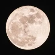 LEONの画像
