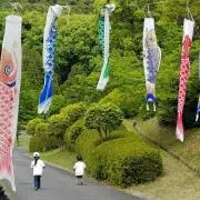 はるひ