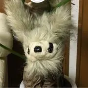 なまけものの画像