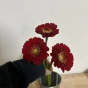 あいの画像