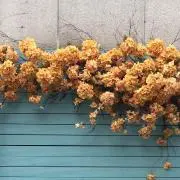 たま