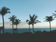 しぃ