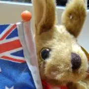 ヒロの画像