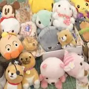 ぱんちゃんの画像