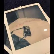 よの画像