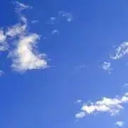 酒と桜(プロフに諸注意)