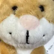 ハム神