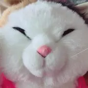 kuroの画像