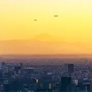 たいの画像
