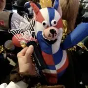 ばさしの画像