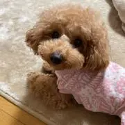 はるはる^_^