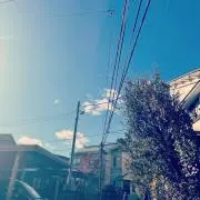 ゆーの画像