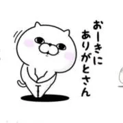 シロネコヤマモトの画像