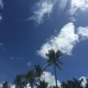 miの画像
