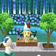とっと
