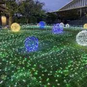 ★マヒナ★の画像