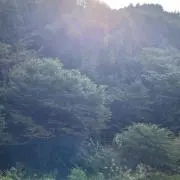 riyu09の画像