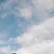 そらの画像