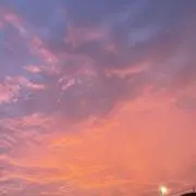 てんの画像