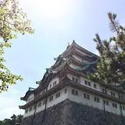 コぺこぺこっぺ