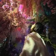 星奈✧︎*。の画像