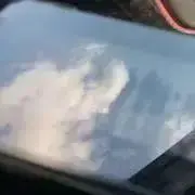 モモ