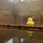 みかんの画像