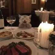 プロフ読んでくださいの画像