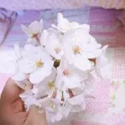 いよち