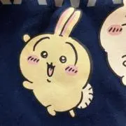 ポンダの画像