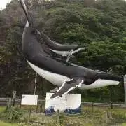 今日は！くじらです(^^)【プロフ必読】の画像