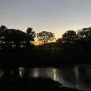 LIFEの画像